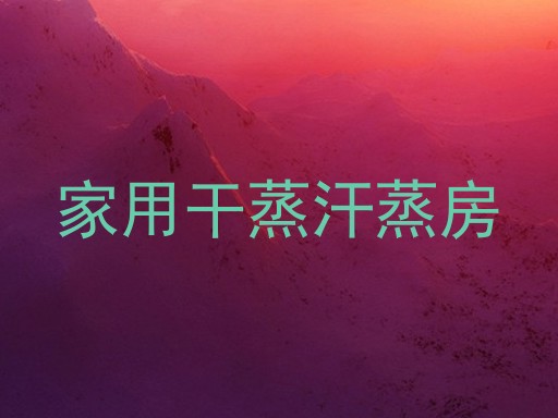 家用干蒸汗蒸房
