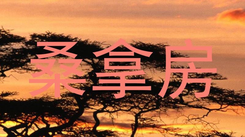 桑拿房