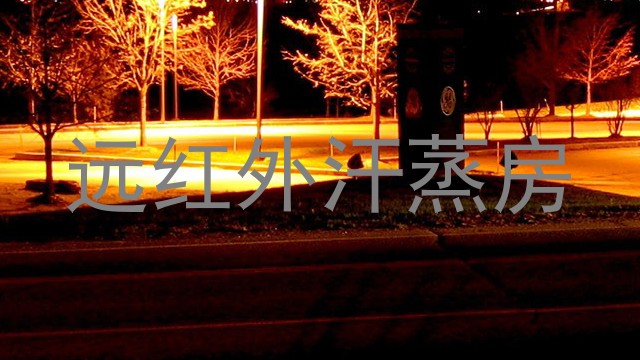 远红外汗蒸房