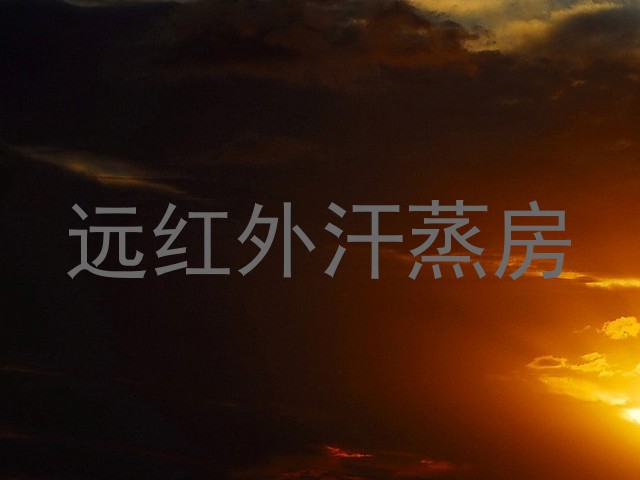 远红外汗蒸房