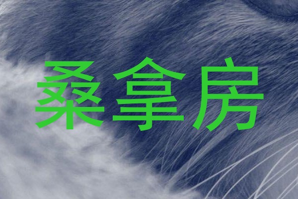 桑拿房