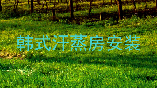 韩式汗蒸房安装
