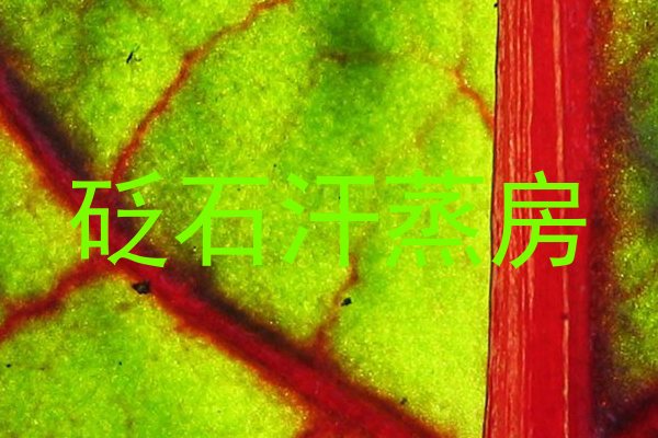 砭石汗蒸房