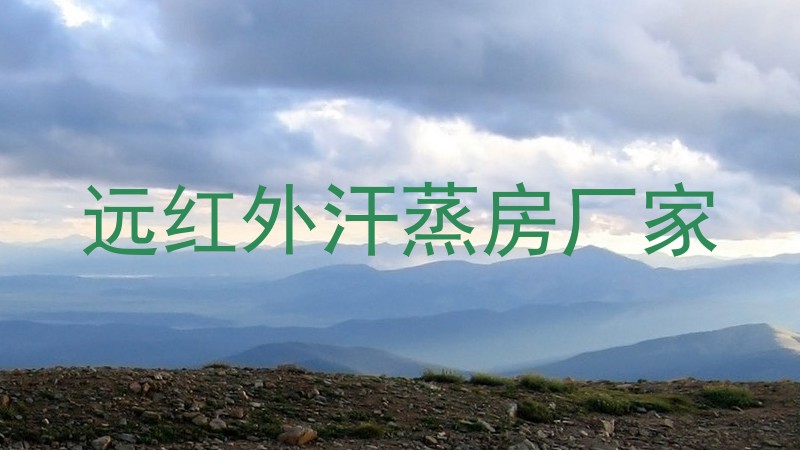 远红外汗蒸房厂家