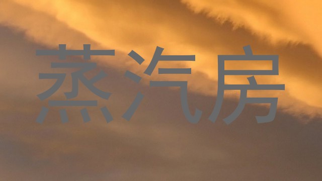 蒸汽房