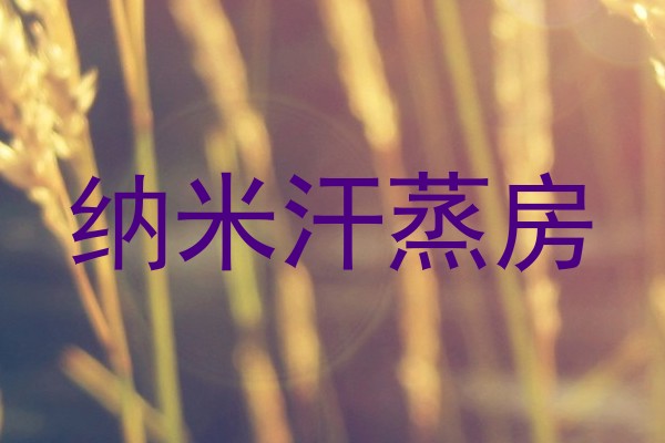 纳米汗蒸房