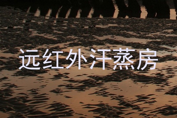 远红外汗蒸房