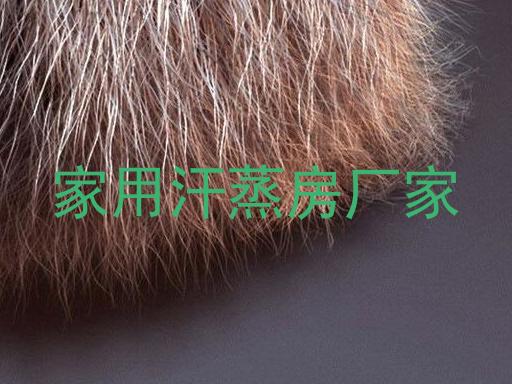 家用汗蒸房厂家