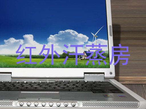 红外汗蒸房