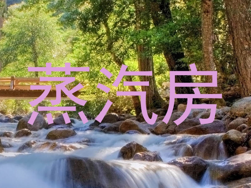 蒸汽房