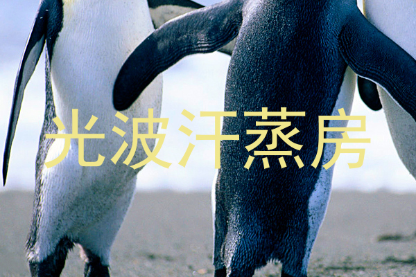 光波汗蒸房