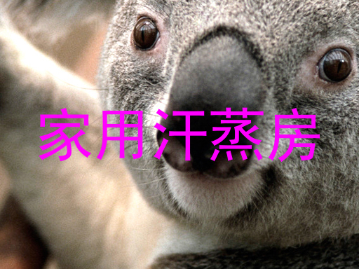 家用汗蒸房