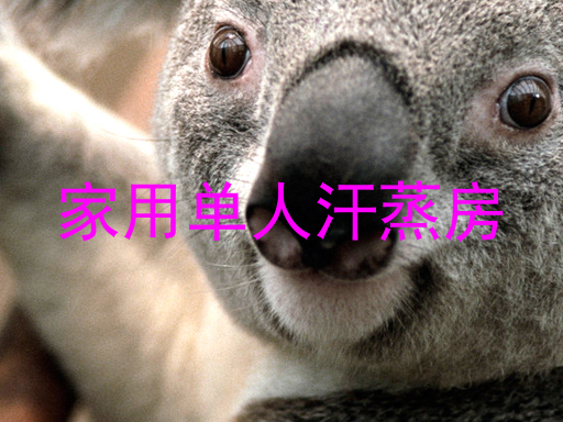 家用单人汗蒸房