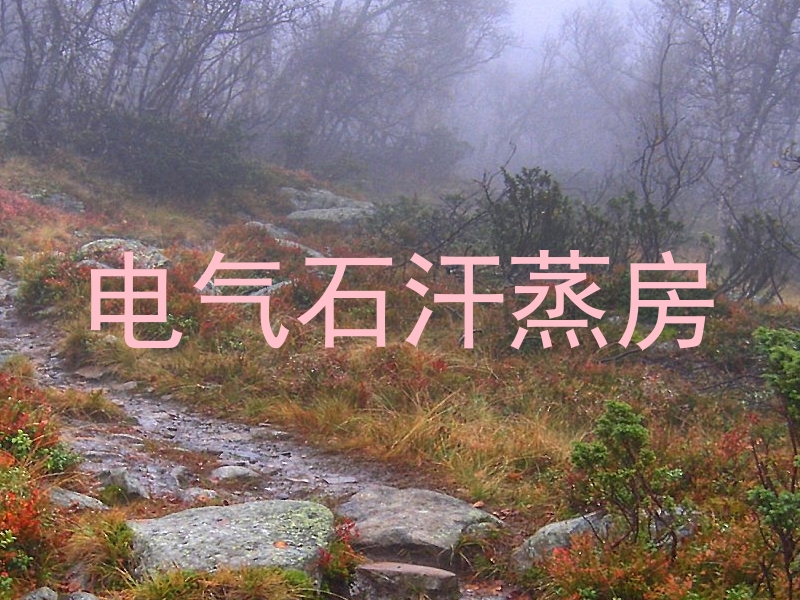 电气石汗蒸房