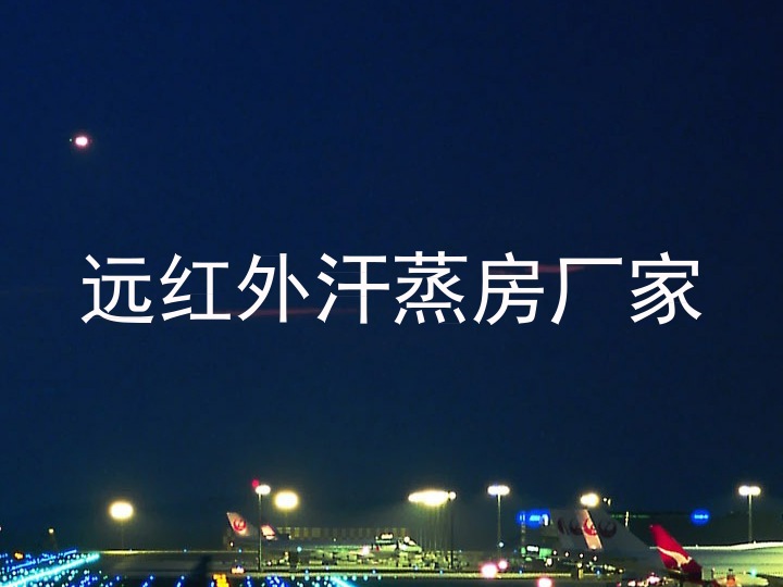 远红外汗蒸房厂家