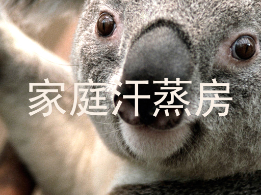 家庭汗蒸房