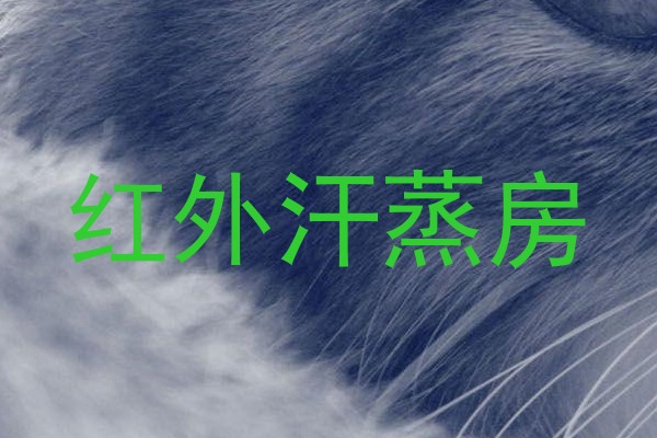 红外汗蒸房