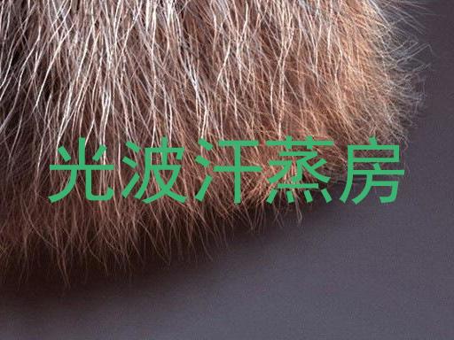 光波汗蒸房