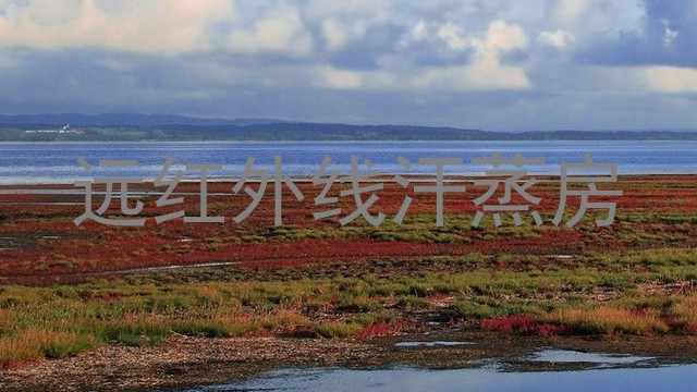远红外线汗蒸房