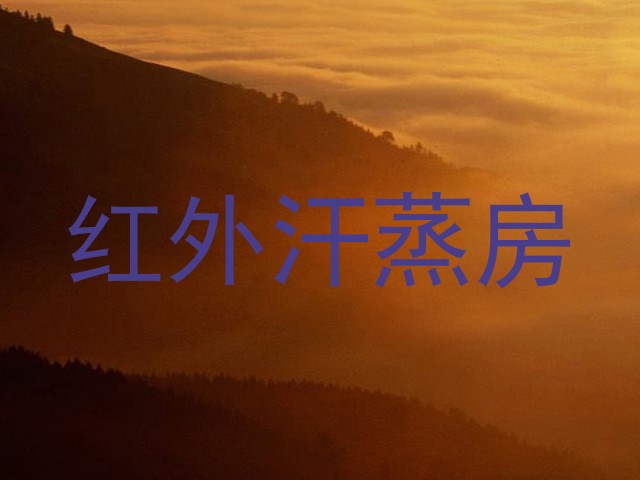 红外汗蒸房