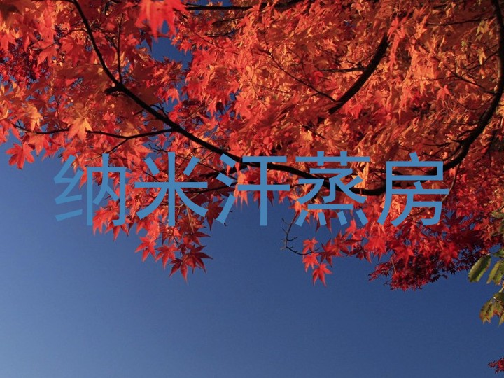 纳米汗蒸房
