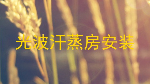 光波汗蒸房安装