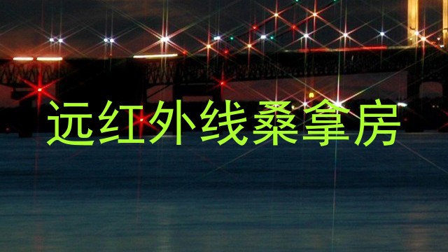 远红外线桑拿房