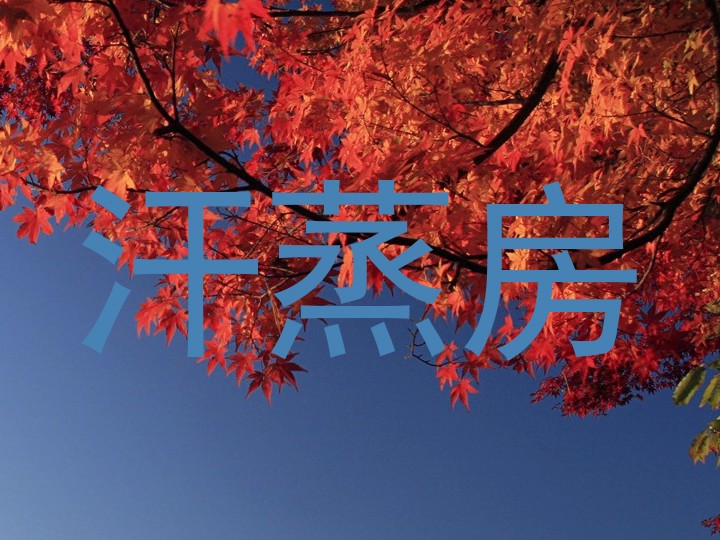 汗蒸房