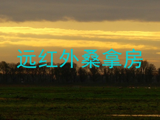 远红外桑拿房