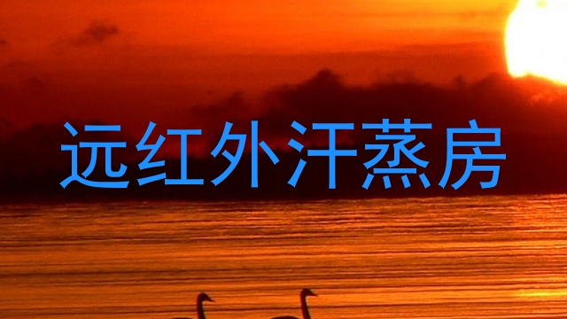 远红外汗蒸房