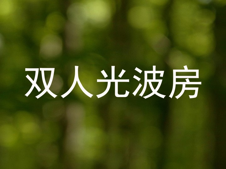 双人光波房