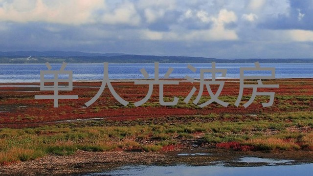 单人光波房
