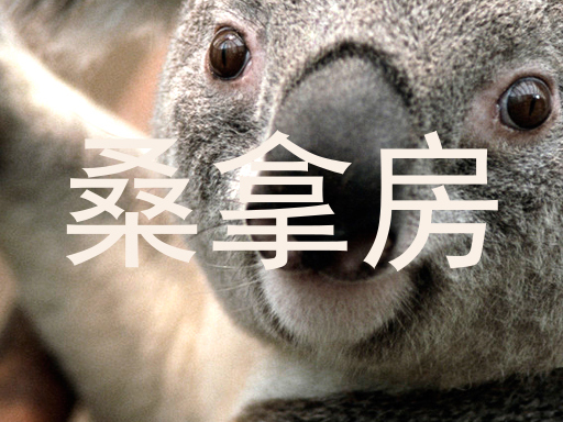 桑拿房