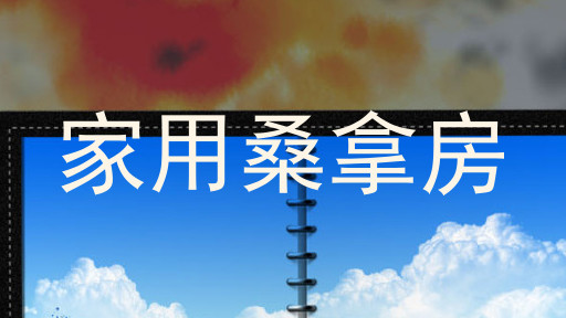 家用桑拿房