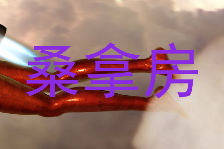 桑拿房
