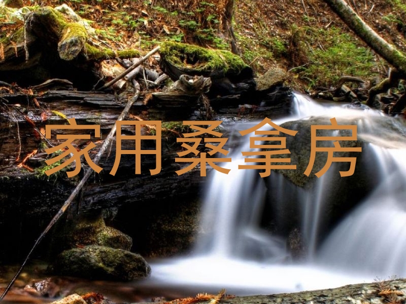 家用桑拿房