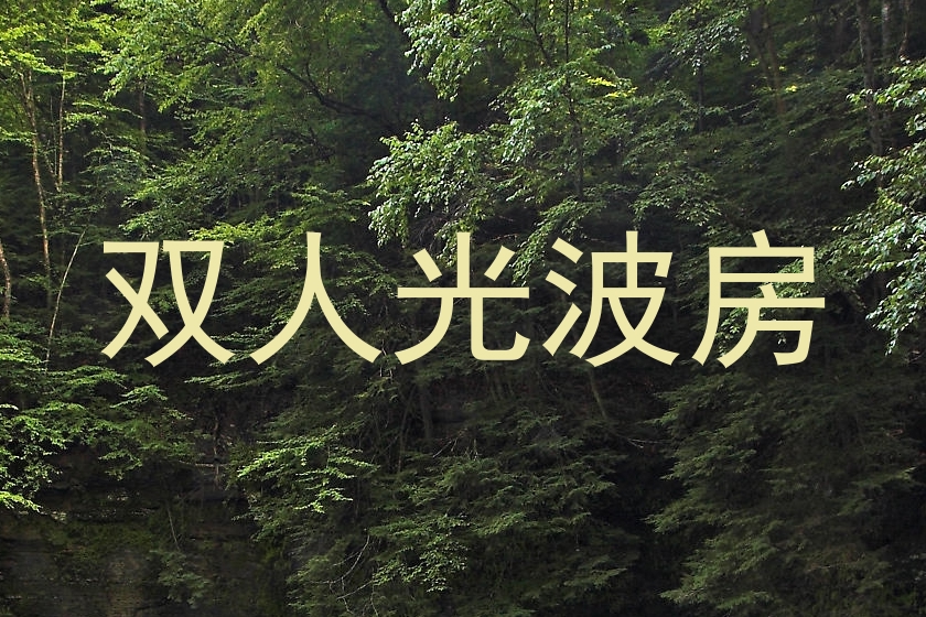 双人光波房