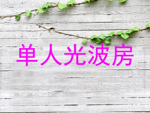 单人光波房