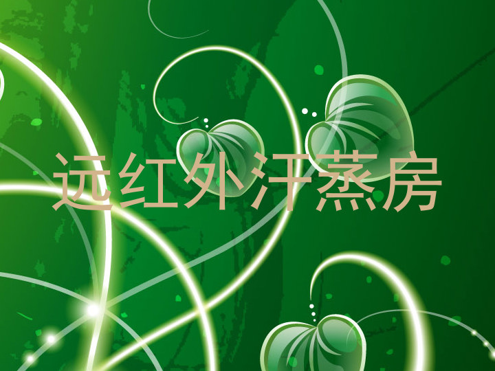 远红外汗蒸房