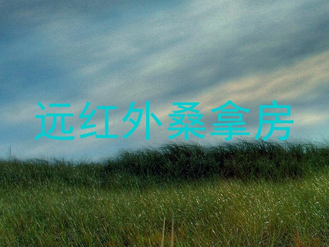 远红外桑拿房