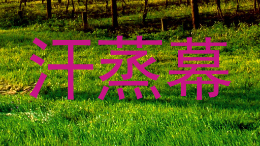汗蒸幕