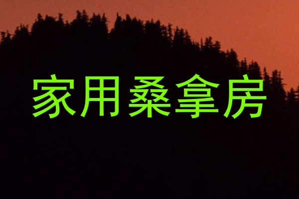 家用桑拿房