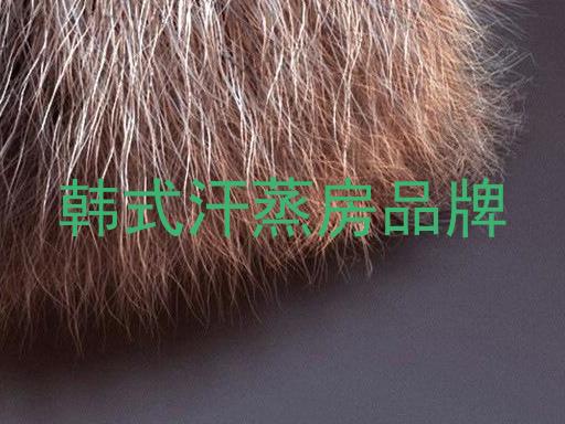 韩式汗蒸房品牌