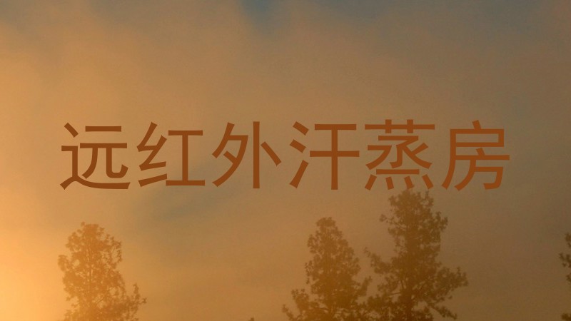 远红外汗蒸房