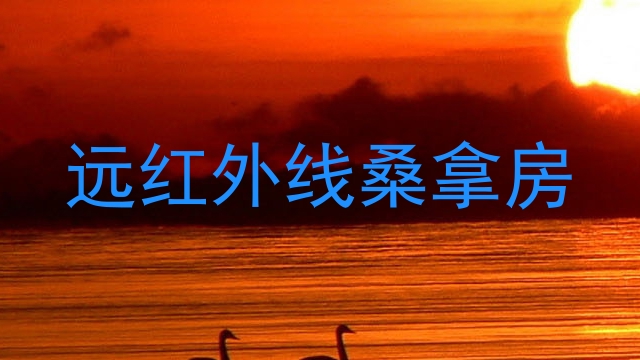 远红外线桑拿房