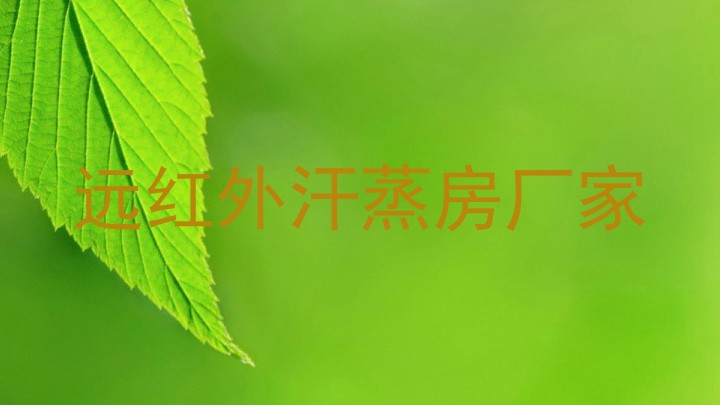远红外汗蒸房厂家