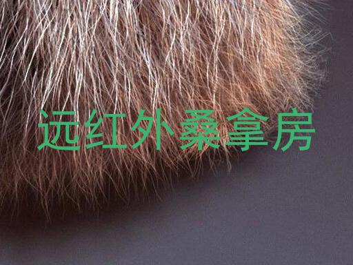 远红外桑拿房
