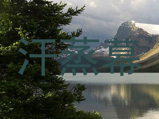 汗蒸幕