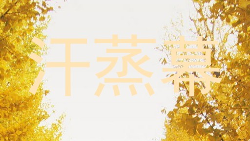汗蒸幕