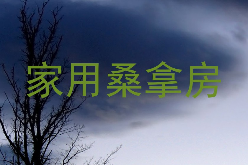 家用桑拿房